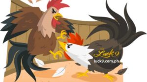 Breeders and bettors are invited to participate in these Philippine cockfighting events, including Sabong Online Betting.