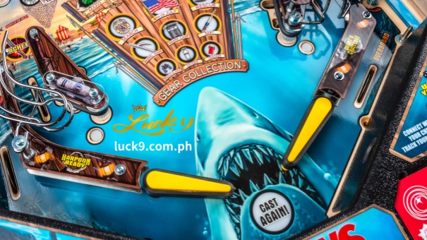 Ang Pachinko ay isang hindi pangkaraniwang uri ng laro na napakapopular sa mga manlalaro sa buong mundo. Matuto nang higit pa tungkol sa laro, kung bakit dapat mong isaalang-alang ang libreng pinball at makakuha ng mga tip sa paglalaro ng pinball bilang isang pro.